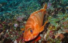 Tajlandia - luty 2007