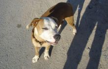 Tajlandia - luty 2007