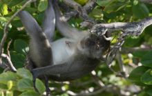 Tajlandia - luty 2007