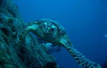 Tajlandia - luty 2007