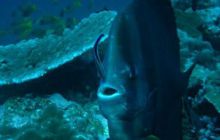 Tajlandia - luty 2007