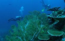 Tajlandia - luty 2007