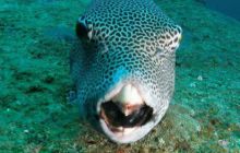 Tajlandia - luty 2007