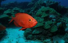 Tajlandia - luty 2007