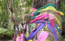 Tajlandia - luty 2007