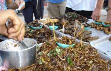 Tajlandia - luty 2007