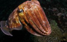 Tajlandia - luty 2007