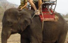 Tajlandia - luty 2007