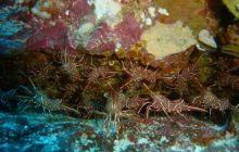 Tajlandia - luty 2007