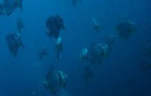 Tajlandia - luty 2007