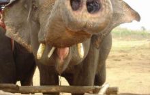 Tajlandia - luty 2007