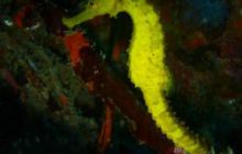 Tajlandia - luty 2007