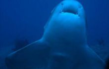 Tajlandia - luty 2007