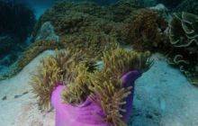 Tajlandia - luty 2007