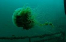 Tajlandia - luty 2007