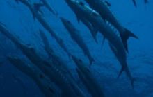 Tajlandia - luty 2007