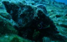 Tajlandia - luty 2007