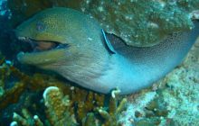 Tajlandia - luty 2007