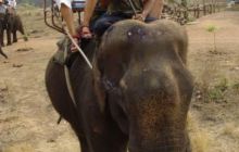 Tajlandia - luty 2007