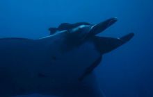 Tajlandia - luty 2007