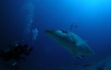 Tajlandia - luty 2007