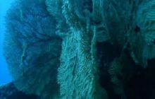 Tajlandia - luty 2007