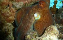 Tajlandia - luty 2007