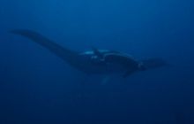 Tajlandia - luty 2007