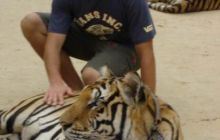 Tajlandia - luty 2007