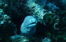 Tajlandia - luty 2007