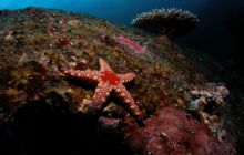 Tajlandia - luty 2007