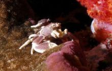 Tajlandia - luty 2007