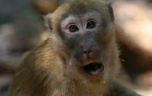 Tajlandia - luty 2007