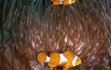 Tajlandia - luty 2007