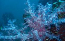 Tajlandia - luty 2007