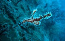 Tajlandia - luty 2007