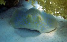 Hurghada - kwiecień 2007