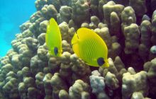 Hurghada - kwiecień 2007