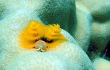 Hurghada - kwiecień 2007