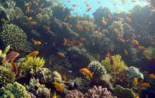 Hurghada - kwiecień 2007