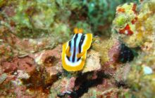 Hurghada - kwiecień 2007