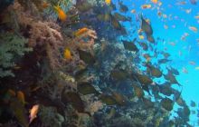 Hurghada - kwiecień 2007