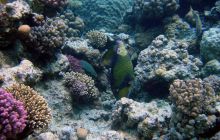 Hurghada - kwiecień 2007