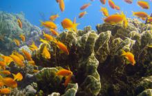 Hurghada - kwiecień 2007