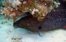 Hurghada - kwiecień 2007