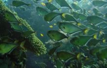 Hurghada - kwiecień 2007