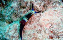 Hurghada - kwiecień 2007