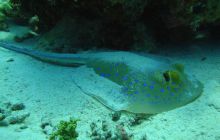 Hurghada - kwiecień 2007