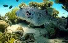 Hurghada - kwiecień 2007