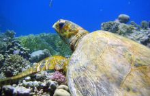 Hurghada - kwiecień 2007